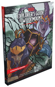 D&D 5th Edition: Explorers Guide to Wildemount
